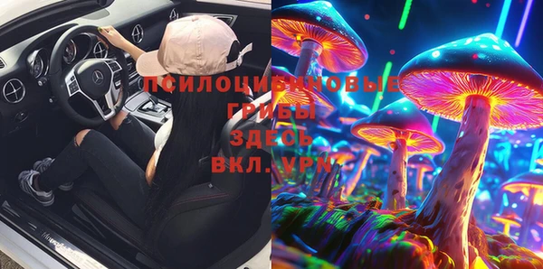 дживик Ростов