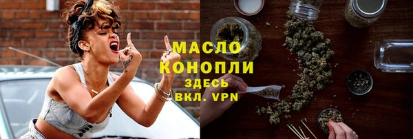 индика Гатчина