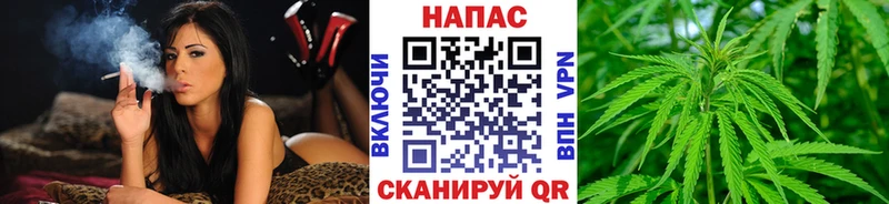 Каннабис Bruce Banner наркошоп Белоусово